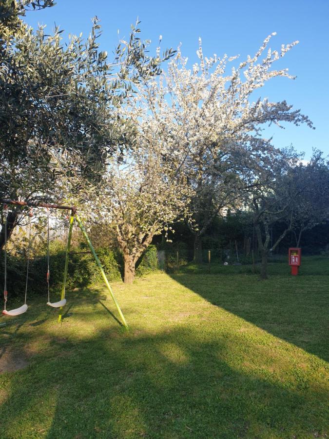 Alloggio Turistico Montefiascone Eksteriør billede